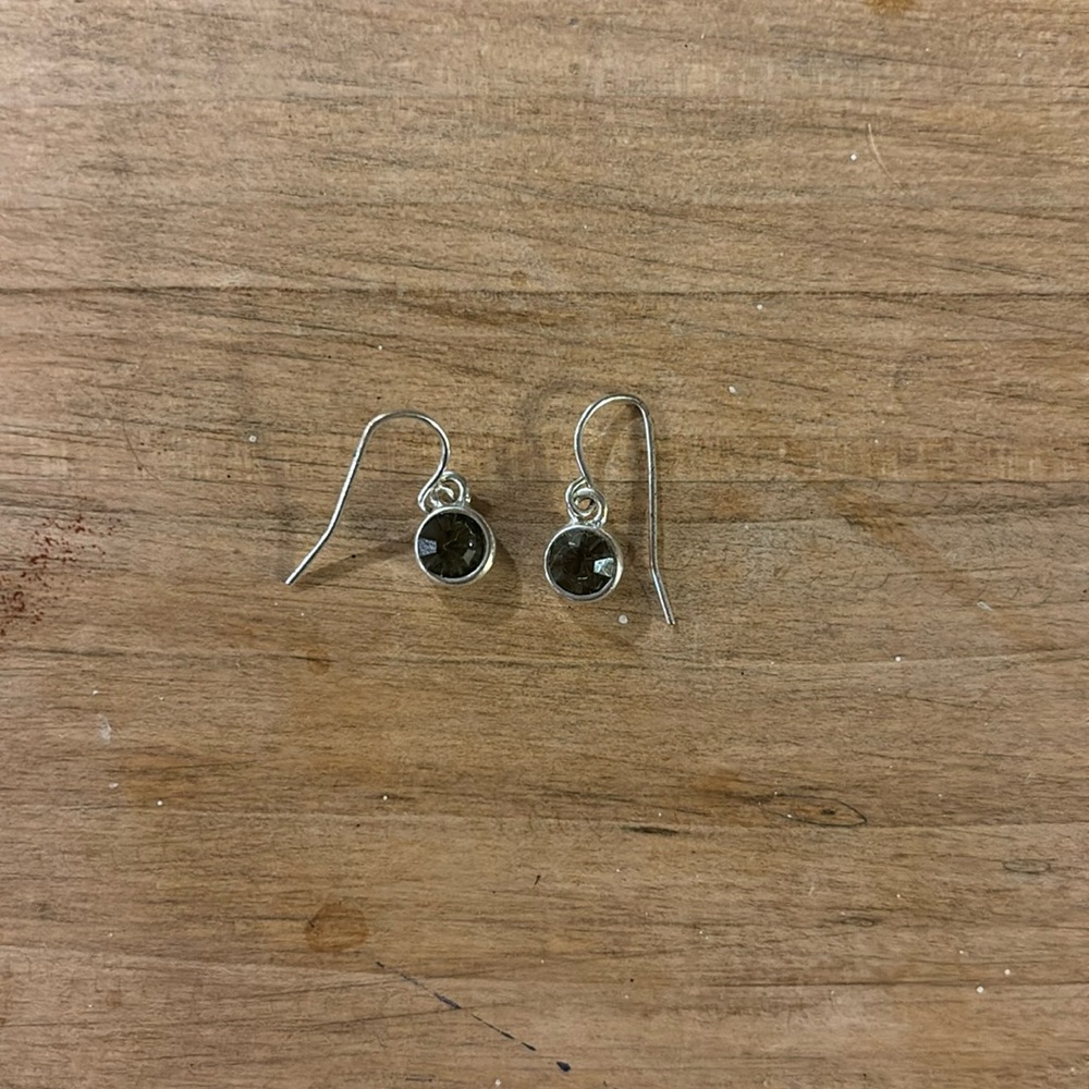 Coach Earrings